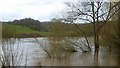 River Wye in flood