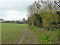 Field edge looking towards Epsom Lane North, Tadworth