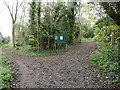 Paths at foot of Walton Downs