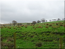 SK0091 : Rough grazing near Hilltop Farm by JThomas