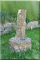 Old Central Cross by High Street, Sydling St Nicholas