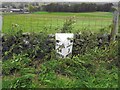 Old Milepost by the A684, below Butter Hill