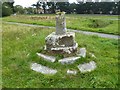 Old Wayside Cross on Salisbury Road, Christchurch