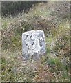 NY8221 : Old Boundary Marker on Mickle Fell, Stainmore parish by Milestone Society