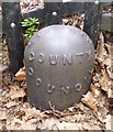 Old Boundary Marker on Wandsworth Common, Battersea parish