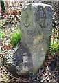 Old Boundary Marker by the A351, Sandford Road, Holton Heath