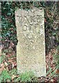 Old Boundary Marker north of Cadson, west of Newbridge