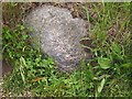 Old Boundary Marker by Birtles Lane, Over Alderley