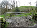 Field entrance off Woolley Lane