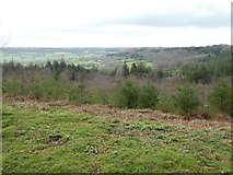 ST1008 : View east from Newcombe Common by David Smith
