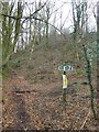 Sign at entrance to Blackborough Common woods