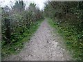 Bridleway to Mount Carvey (2)