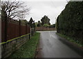 Church Lane between fence and hedge, Marshfield