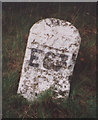 Old Milestone by the A7, north of Ewes