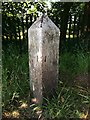 Old milemarker by the Leeds & Liverpool Canal, Feniscowles