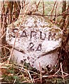 Old Milestone near Prosperous Farm, Hurstbourne Tarrant