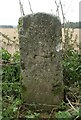 Old Milestone by bridleway North of Bulford Camp