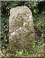 Old Milestone by A345, Salisbury Road junction, Netheravon