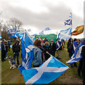 The Highlands and Islands Greens at the pro EU march in Inverness