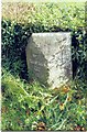 Old Milestone by the A49, near Clayton Woods