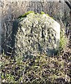 Old Milestone  by the A602, Ware Road, Sacombe