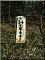 Old Milepost by the A22, Lewes Road, Forest Row parish