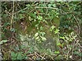 Old Milestone North of Cranbourne Grange, Wonston parish