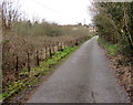 Lane from Bethel Baptist Church to  Pentre-Poeth Road, Bassaleg