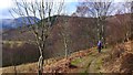 NN5307 : Path to Glen Finglas Reservoir by Gordon Brown