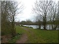 Fishing lake at Goodiford Mill Farm