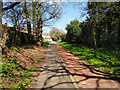 Footpath and cycle way, Crawley