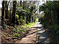 Footpath and cycle way, Crawley