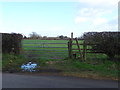 Field entrance and footpath, Welsh End 