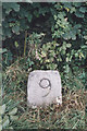 Old Milestone by the A76, north of Blackwood Bridge, Closeburn