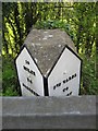 Old Milestone by the A478, Narberth Road, Lady Park, Tenby