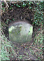 Old Milestone by the A386, Middle Gribble, Little Torrington