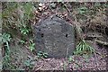 Old Milestone by the A548, Llanfair Talhaiarn parish