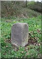 Old Milestone by the former B3210, Harberton parish