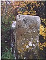 NZ6813 : Old Guide Stone by Oven Close Beck bridge, Lockwood parish by Milestone Society