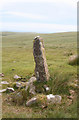 SX6565 : Old Waymarker Stone near Western White Barrow, South Brent parish by Alan Rosevear