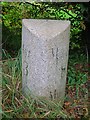 Old Milestone by the B743, near St Quivox, Ayr parish