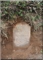 Old Milestone by the B3196, south of Kitterford Cross, Ugborough parish