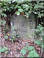 Old Milestone by the A487, Llanfarian