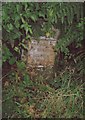 Old Milestone by the A251, Buck Street, Challock