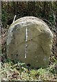 Old Milestone by the A38, Woodford, Alkington parish