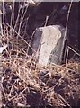 Old Milestone by the A682, north of Nappa, Swinden parish