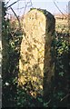 Old Milestone by the B4425, Upton Down, Burford