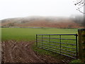 South-western slopes of Moel Llanfendigaid