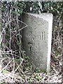 Old Milestone by the B730, Tarbolton parish