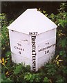 Old Milepost by the A38, East Brent parish